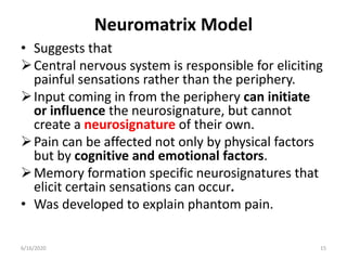 Neuromatrix Model
• Suggests that
Central nervous system is responsible for eliciting
painful sensations rather than the periphery.
Input coming in from the periphery can initiate
or influence the neurosignature, but cannot
create a neurosignature of their own.
Pain can be affected not only by physical factors
but by cognitive and emotional factors.
Memory formation specific neurosignatures that
elicit certain sensations can occur.
• Was developed to explain phantom pain.
156/16/2020
 