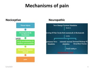 Mechanisms of pain
Nociceptive Neuropathic
66/16/2020
 