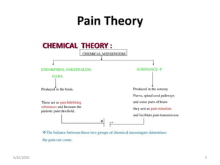 Pain Theory
96/16/2020
 
