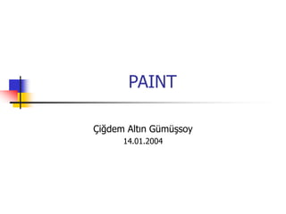 PAINT
Çiğdem Altın Gümüşsoy
14.01.2004
 