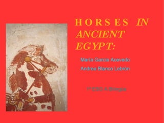 HORSES  IN  ANCIENT EGYPT: María Garcia Acevedo  Andrea Blanco Lebrón 1º ESO A Bilingüe 