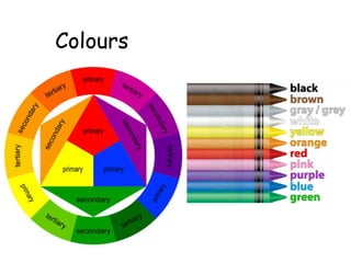 Colours
 