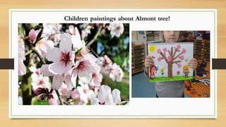 Painting the almont tree 