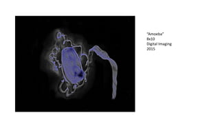 “Amoeba”
8x10
Digital Imaging
2015
 