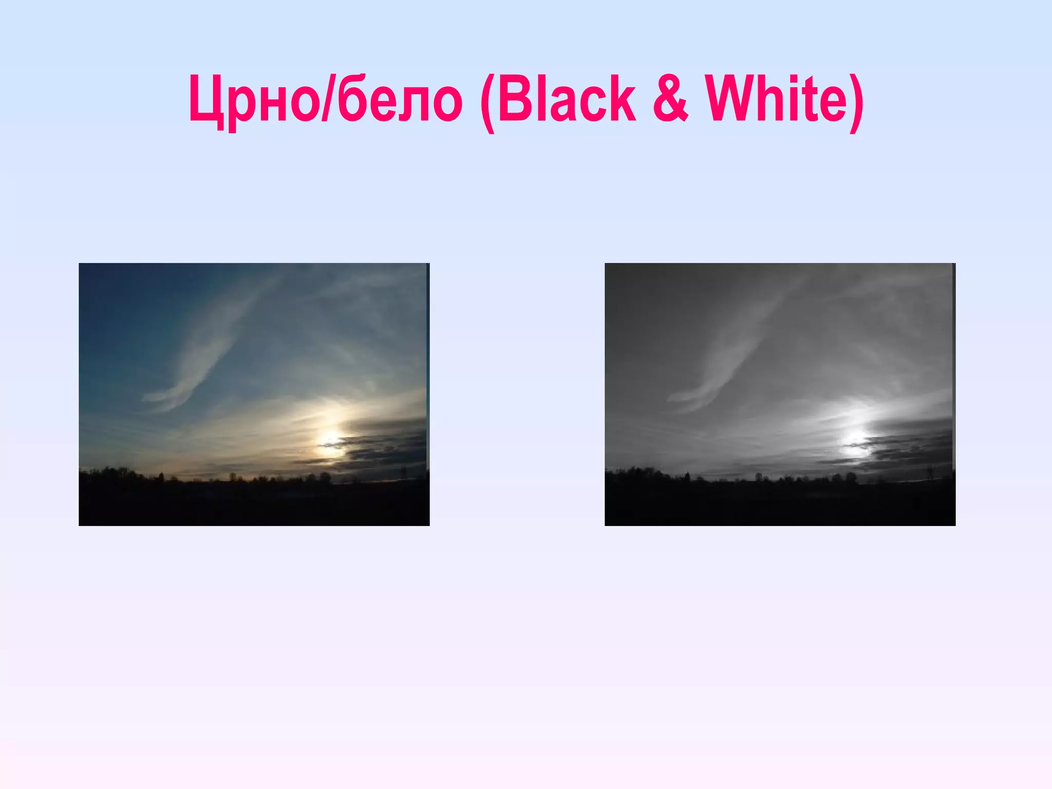 Црно/бело ( Black & White ) 