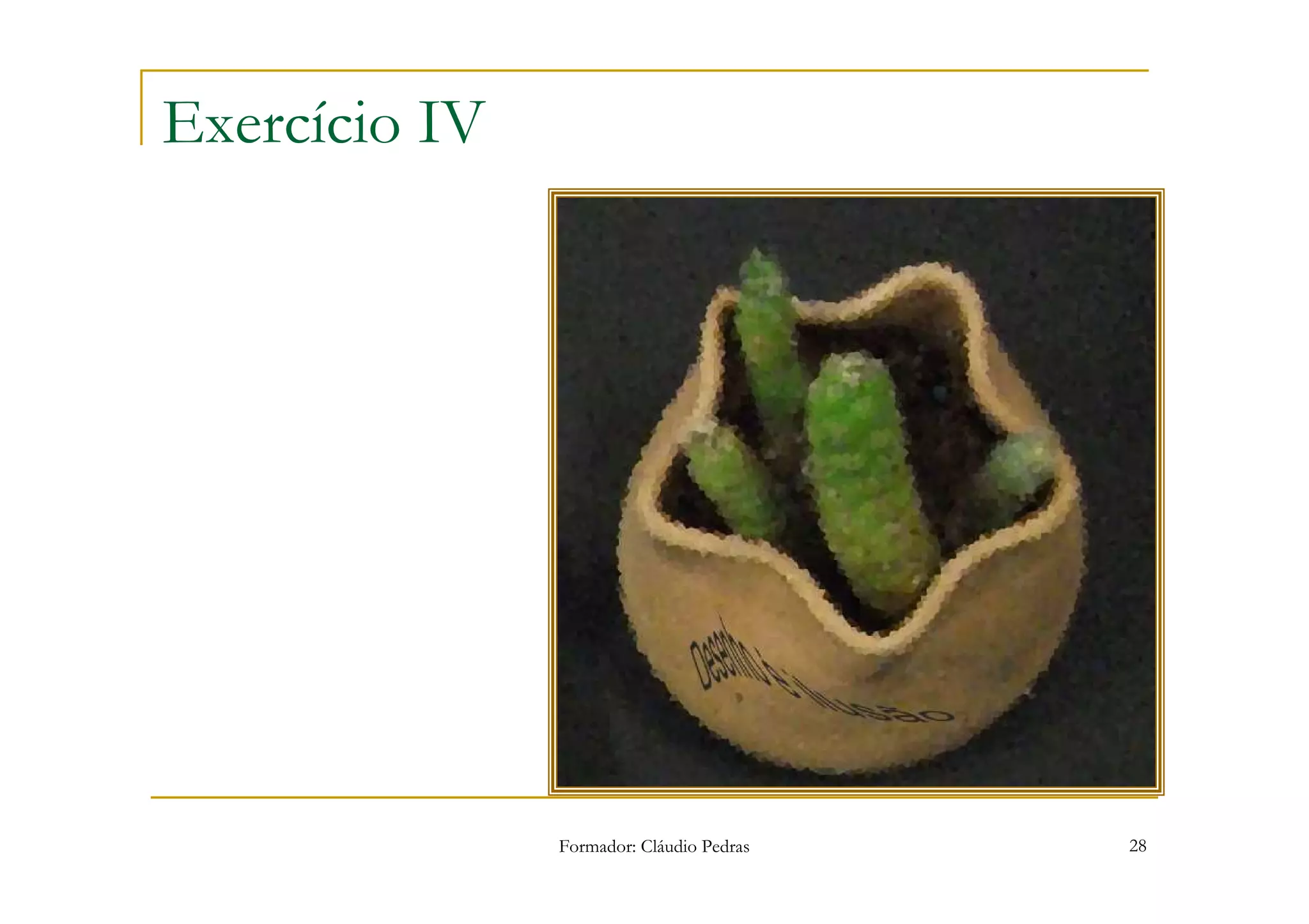 Exercício IV




               Formador: Cláudio Pedras   28
 