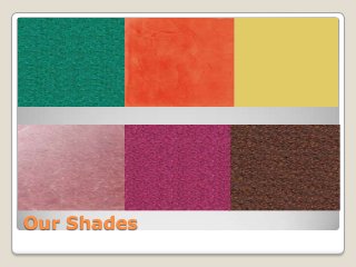 Our Shades

 