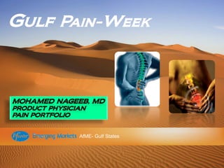 Gulf Pain-Week




       AfME- Gulf States
 