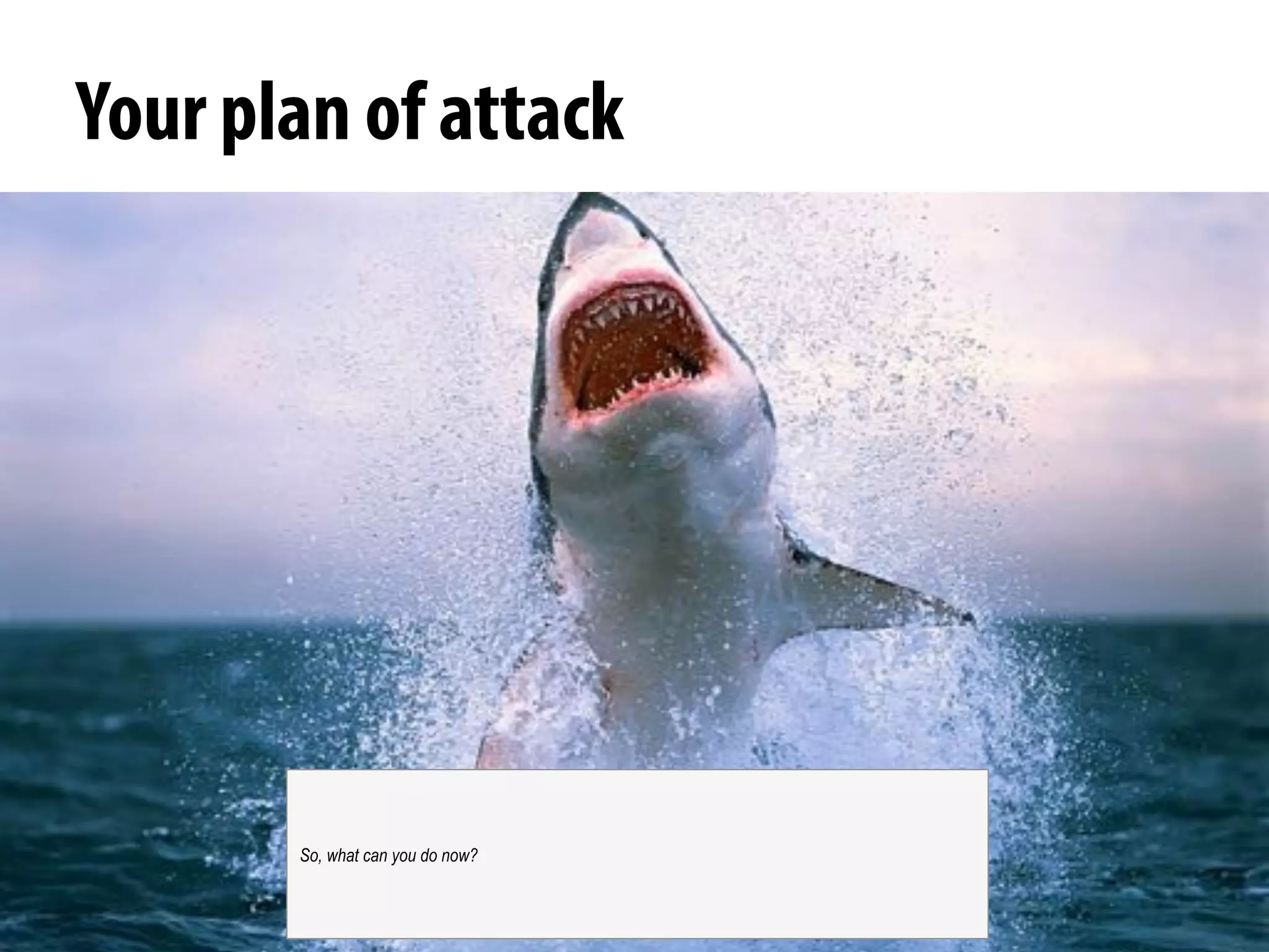 @michelejkiss
Your plan of attack
So, what can you do now?
 