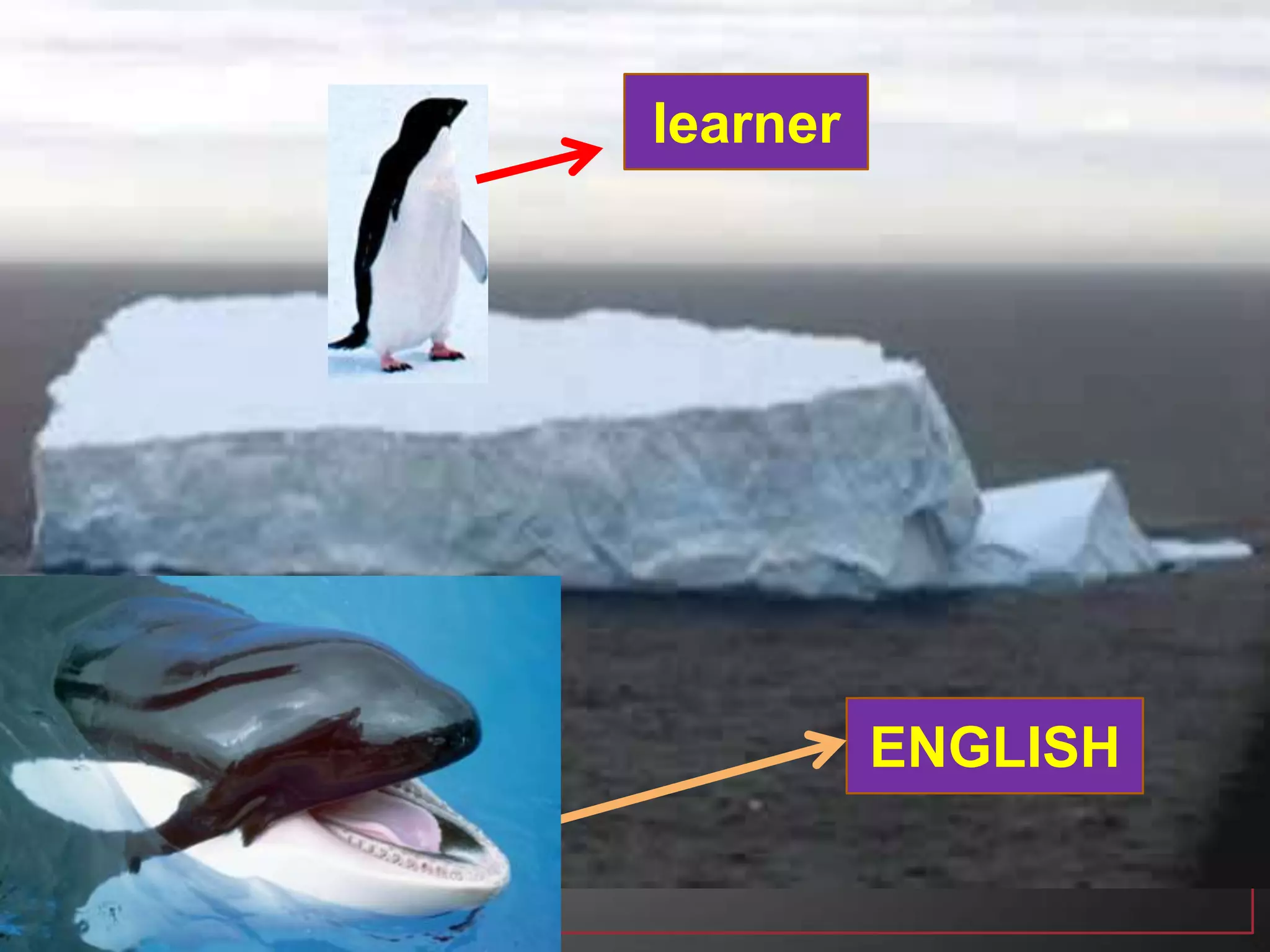 learner
ENGLISH
 