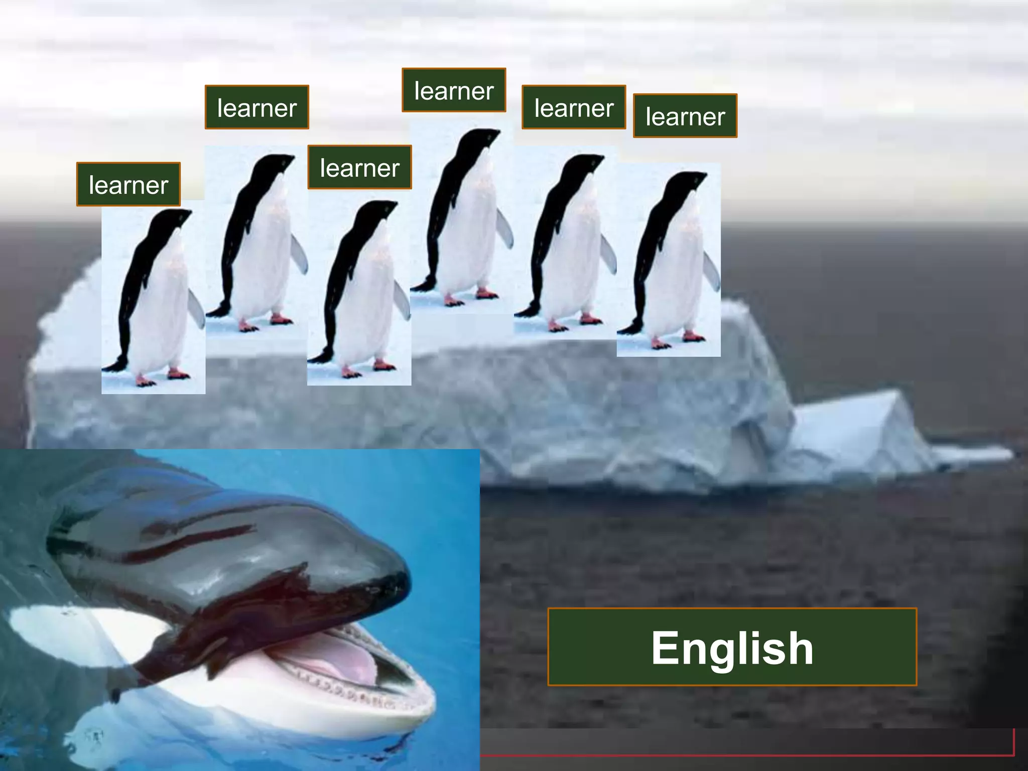 learner
English
learner
learner
learner
learner
learner
 