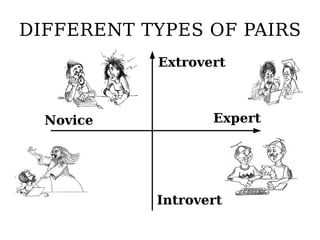 DIFFERENT TYPES OF PAIRS
           Extrovert



  Novice          Expert




           Introvert
 