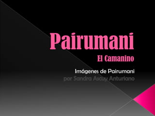 PairumaniEl Camanino Imágenes de Pairumanipor Sandra AscuyAnturiano 