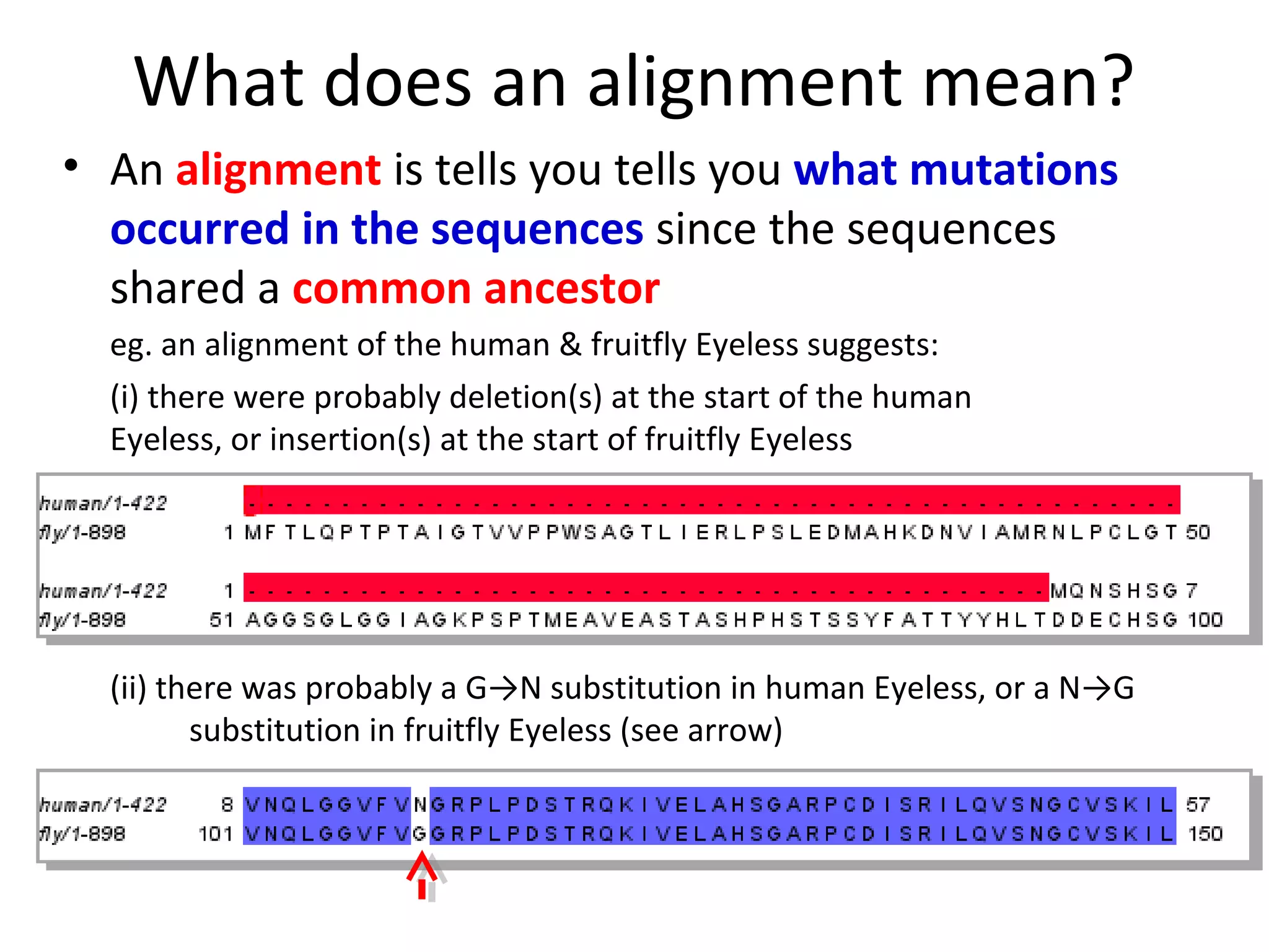 Pairwise sequence alignment | PPT