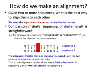 Pairwise sequence alignment | PPT | Databases | Computer Software and ...