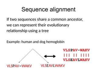 Sequence alignment
If two sequences share a common ancestor,
we can represent their evolutionary
relationship using a tree
Example: human and dog hemoglobin
VLSPAV-WAKV
||| || ||||
VLSEAVLWAKV
VLSPAV-WAKV VLSEAVLWAKV
 