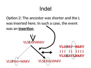 Indel
VLSPAV-WAKV
||| || ||||
VLSEAVLWAKV
VLSPAV-WAKV
VLSEAVWAKV
Option 2: The ancestor was shorter and the L
was inserted here. In such a case, the event
was an insertion.
VLSEAVLWAKV
L
 
