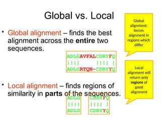 Global vs. Local
• Global alignment – finds the best
alignment across the entire two
sequences.
• Local alignment – finds regions of
similarity in parts of the sequences.
ADLGAVFALCDRYFQ
|||| |||| |
ADLGRTQN-CDRYYQ
ADLG CDRYFQ
|||| |||| |
ADLG CDRYYQ
Global
alignment:
forces
alignment in
regions which
differ
Local
alignment will
return only
regions of
good
alignment
 