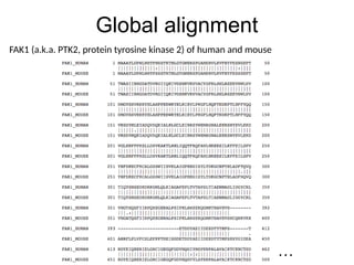 Global alignment
FAK1 (a.k.a. PTK2, protein tyrosine kinase 2) of human and mouse
…
 
