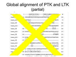 Global alignment of PTK and LTK
(partial)
 