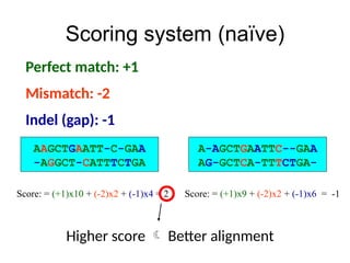 Scoring system (naïve)
AAGCTGAATT-C-GAA
AGGCT-CATTTCTGA
-
Score: = (+1)x10 + (-2)x2 + (-1)x4 = 2 Score: = (+1)x9 + (-2)x2 + (-1)x6 = -1
A-AGCTGAATTC--GAA
AG-GCTCA-TTTCTGA-
Higher score  Better alignment
Perfect match: +1
Mismatch: -2
Indel (gap): -1
 