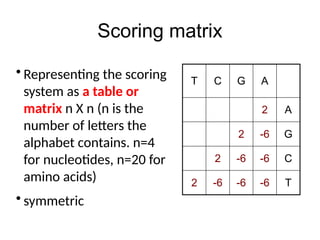 Scoring matrix
T C G A
2 A
2 -6 G
2 -6 -6 C
2 -6 -6 -6 T
• Representing the scoring
system as a table or
matrix n X n (n is the
number of letters the
alphabet contains. n=4
for nucleotides, n=20 for
amino acids)
• symmetric
 