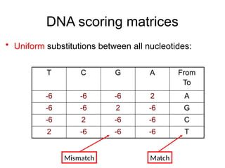 DNA scoring matrices
• Uniform substitutions between all nucleotides:
T C G A From
To
-6 -6 -6 2 A
-6 -6 2 -6 G
-6 2 -6 -6 C
2 -6 -6 -6 T
Match
Mismatch
 