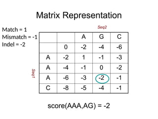 Matrix Representation
score(AAA,AG) = -2
A G C
0 -2 -4 -6
A -2 1 -1 -3
A -4 -1 0 -2
A -6 -3 -2 -1
C -8 -5 -4 -1
Match = 1
Mismatch = -1
Indel = -2
Seq2
Seq1
 