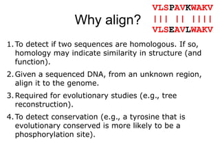 Why align?
VLSPAVKWAKV
||| || ||||
VLSEAVLWAKV
1.To detect if two sequences are homologous. If so,
homology may indicate similarity in structure (and
function).
2.Given a sequenced DNA, from an unknown region,
align it to the genome.
3.Required for evolutionary studies (e.g., tree
reconstruction).
4.To detect conservation (e.g., a tyrosine that is
evolutionary conserved is more likely to be a
phosphorylation site).
 