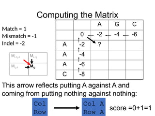 Computing the Matrix
A G C
0 -2 -4 -6
A -2 ?
A -4
A -6
C -8
Match = 1
Mismatch = -1
Indel = -2
This arrow reflects putting A against A and
coming from putting nothing against nothing:
Col A
Row A
Col
Row
score =0+1=1
Mi-1,j-1 Mi-1,j
Mi,j-1 Mi,j
 