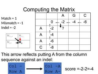 Computing the Matrix
A G C
0 -2 -4 -6
A -2 ?
A -4
A -6
C -8
Match = 1
Mismatch = -1
Indel = -2
This arrow reflects putting A from the column
sequence against an indel:
Mi-1,j-1 Mi-1,j
Mi,j-1 Mi,j
Col -A
Row A-
Col -
Row A
score =-2-2=-4
 