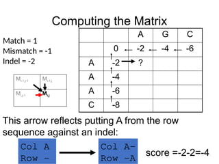Computing the Matrix
A G C
0 -2 -4 -6
A -2 ?
A -4
A -6
C -8
Match = 1
Mismatch = -1
Indel = -2
This arrow reflects putting A from the row
sequence against an indel:
Mi-1,j-1 Mi-1,j
Mi,j-1 Mi,j
Col A-
Row -A
Col A
Row -
score =-2-2=-4
 