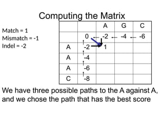 Computing the Matrix
A G C
0 -2 -4 -6
A -2 1
A -4
A -6
C -8
Match = 1
Mismatch = -1
Indel = -2
We have three possible paths to the A against A,
and we chose the path that has the best score
 