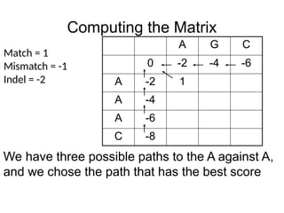 Computing the Matrix
A G C
0 -2 -4 -6
A -2 1
A -4
A -6
C -8
Match = 1
Mismatch = -1
Indel = -2
We have three possible paths to the A against A,
and we chose the path that has the best score
 