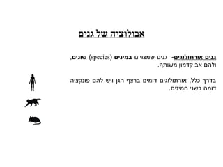 ‫גנים‬ ‫של‬ ‫אבולוציה‬
‫אורתולוגים‬ ‫גנים‬
‫שמצויים‬ ‫גנים‬ -
‫במינים‬
(
species
)
‫שונים‬
,
.‫משותף‬ ‫קדמון‬ ‫אב‬ ‫ולהם‬
‫פונקציה‬ ‫להם‬ ‫ויש‬ ‫הגן‬ ‫ברצף‬ ‫דומים‬ ‫אורתולוגים‬ ,‫כלל‬ ‫בדרך‬
.‫המינים‬ ‫בשני‬ ‫דומה‬
 