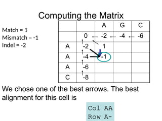 Computing the Matrix
A G C
0 -2 -4 -6
A -2 1
A -4 -1
A -6
C -8
Match = 1
Mismatch = -1
Indel = -2
We chose one of the best arrows. The best
alignment for this cell is
Col AA
Row A–
 