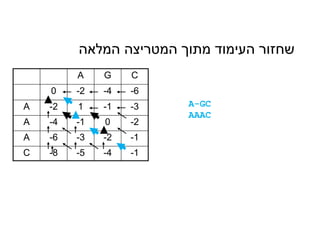A G C
0 -2 -4 -6
A -2 1 -1 -3
A -4 -1 0 -2
A -6 -3 -2 -1
C -8 -5 -4 -1
‫המלאה‬ ‫המטריצה‬ ‫מתוך‬ ‫העימוד‬ ‫שחזור‬
A-GC
AAAC
 