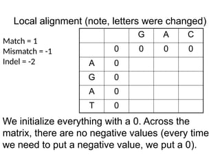 Local alignment (note, letters were changed)
G A C
0 0 0 0
A 0
G 0
A 0
T 0
Match = 1
Mismatch = -1
Indel = -2
We initialize everything with a 0. Across the
matrix, there are no negative values (every time
we need to put a negative value, we put a 0).
 