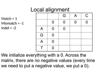 Local alignment
G A C
0 0 0 0
A 0 0
G 0
A 0
T 0
Match = 1
Mismatch = -1
Indel = -2
We initialize everything with a 0. Across the
matrix, there are no negative values (every time
we need to put a negative value, we put a 0).
 