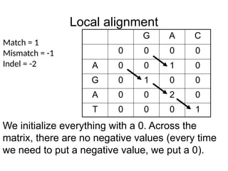 Local alignment
G A C
0 0 0 0
A 0 0 1 0
G 0 1 0 0
A 0 0 2 0
T 0 0 0 1
Match = 1
Mismatch = -1
Indel = -2
We initialize everything with a 0. Across the
matrix, there are no negative values (every time
we need to put a negative value, we put a 0).
 