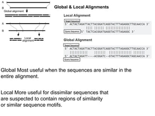 Global & Local Alignments
Global Most useful when the sequences are similar in the
entire alignment.
Local More useful for dissimilar sequences that
are suspected to contain regions of similarity
or similar sequence motifs.
 