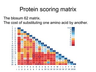 Protein scoring matrix
The blosum 62 matrix.
The cost of substituting one amino acid by another.
 