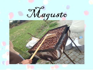Magusto 