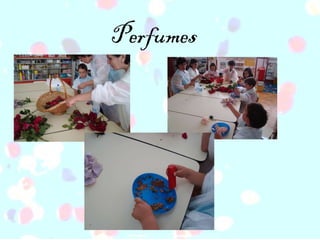 Perfumes 