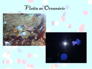 Visita ao Oceanário 