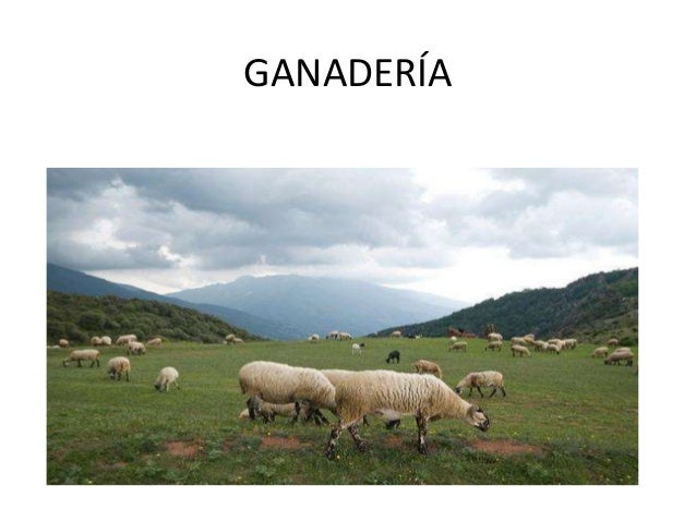 Resultado de imagen de ganaderia de interior