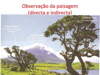 Observação da paisagem
  (directa e indirecta)
 