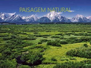 PAISAGEM NATURAL
 