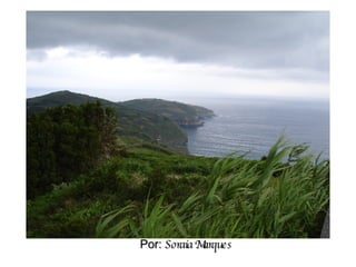 Por:  Soraia Marques 