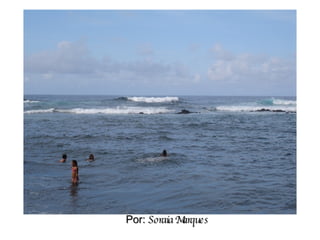 Por:  Soraia Marques 